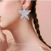 1 Luxury Retro Shiny Star Earrings