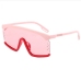 16 Colorblock  Windproof Outdoor Designer Sunglasses