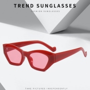   Fashion Colorblock Designer Sunglasses For Women