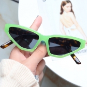 Casual Solid Irregular Frame Sunglasses For Women