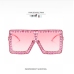 10Rhinestone Decor Women Trendy Sunglasses