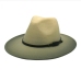 12British Style Gradient Color Fall Men Fedora Hats