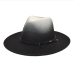 15Fashion Gradient Color Woolen Fedora Hat Caps