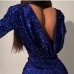 4Elegant Solid Long Sleeve Sequined One Piece Dress