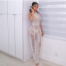 1See Through Open Back Halter Neck Maxi Dress