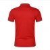 3Simple Pure Color Male Polo Shirts