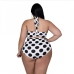 8Polka Dots Halter Neck Plus Size Bikini Sets