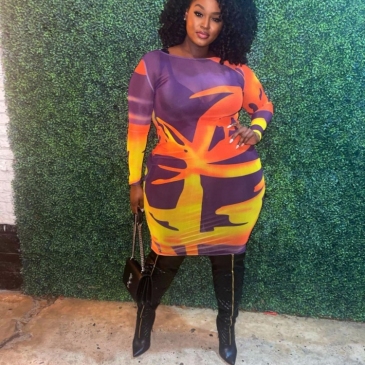 Colorful Printed Long Sleeve Plus Size Bodycon Dress