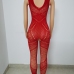 7Sexual Hollow Out  Gauze Transparent Sleeveless Jumpsuits