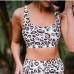 6  Fashion Leopard Print Sleeveless High Waist Swimsuit