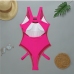 5Color Block Mesh One-piece Bikini