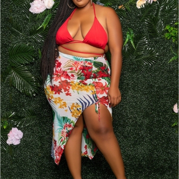 Sexy Printed Plus Size 2 Piece Swimsuit