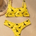 3U Neck Printed Ladies Two Piece Swimsuit