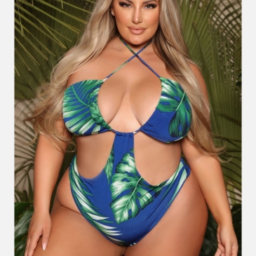 Plus Size Leopard Print One Piece Swimsuit