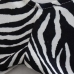 6Designer Zebra Print Long Sleeve Cropped T Shirts