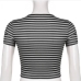 7Striped Cropped Ladies Crew Neck t Shirt