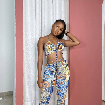 Multicolored Halter Cropped Top And Trouser Sets