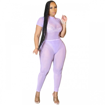 See Through Short Sleeve Two Piece Pants Set