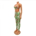 5Skinny Printed Sleeveless Crop Top With Trousers Set