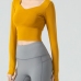 1Plain Tight Fitted Long Sleeve Yoga Crop Top